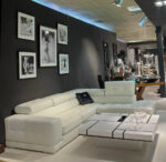 Cavalli - Image 4